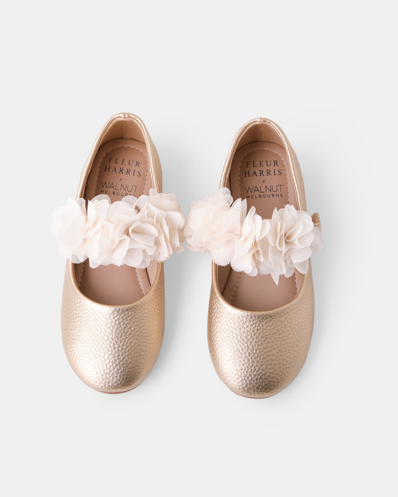 Fleur Harris Flower Ballet - Rose