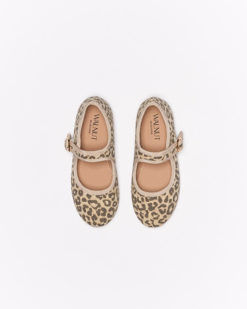 Arlo Ballet - Leopard