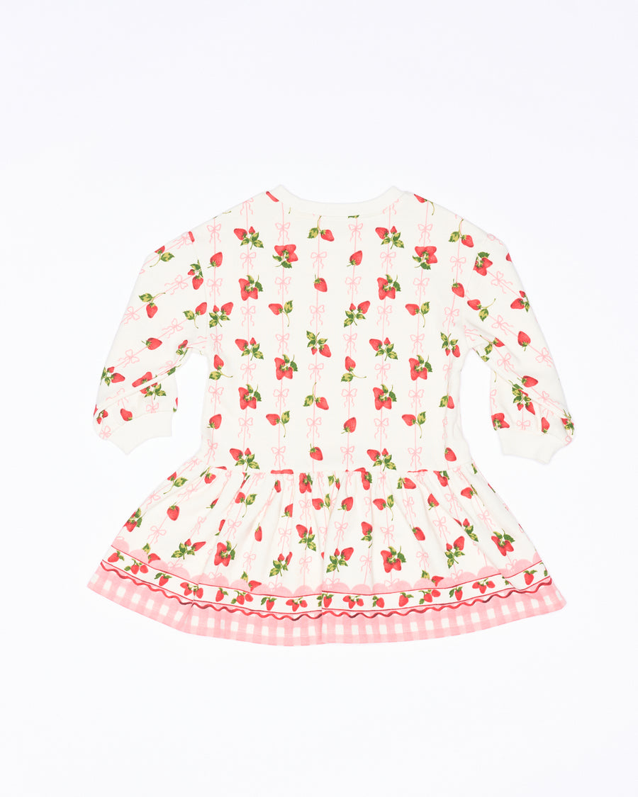 Poppy Sweater Dress - Strawberries and Cream